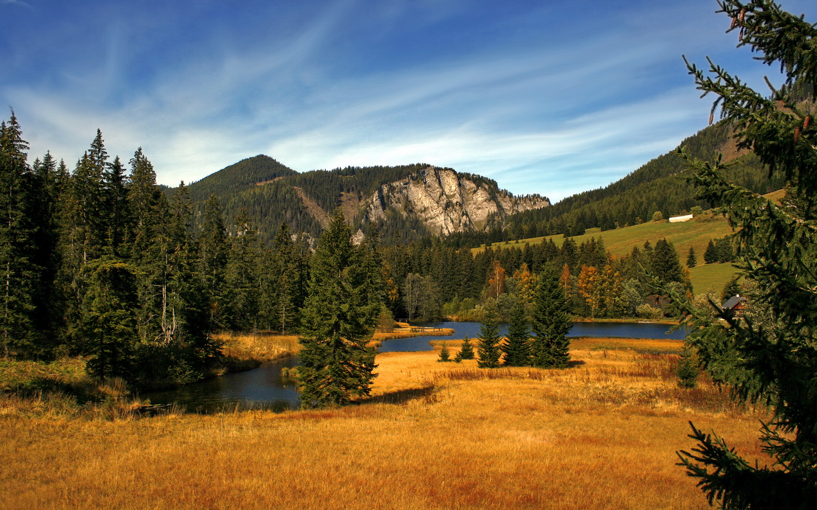 赛场的三重奏，坚韧、精密与团结的交响—从泰国逆转日本到陈雨菲带队取胜