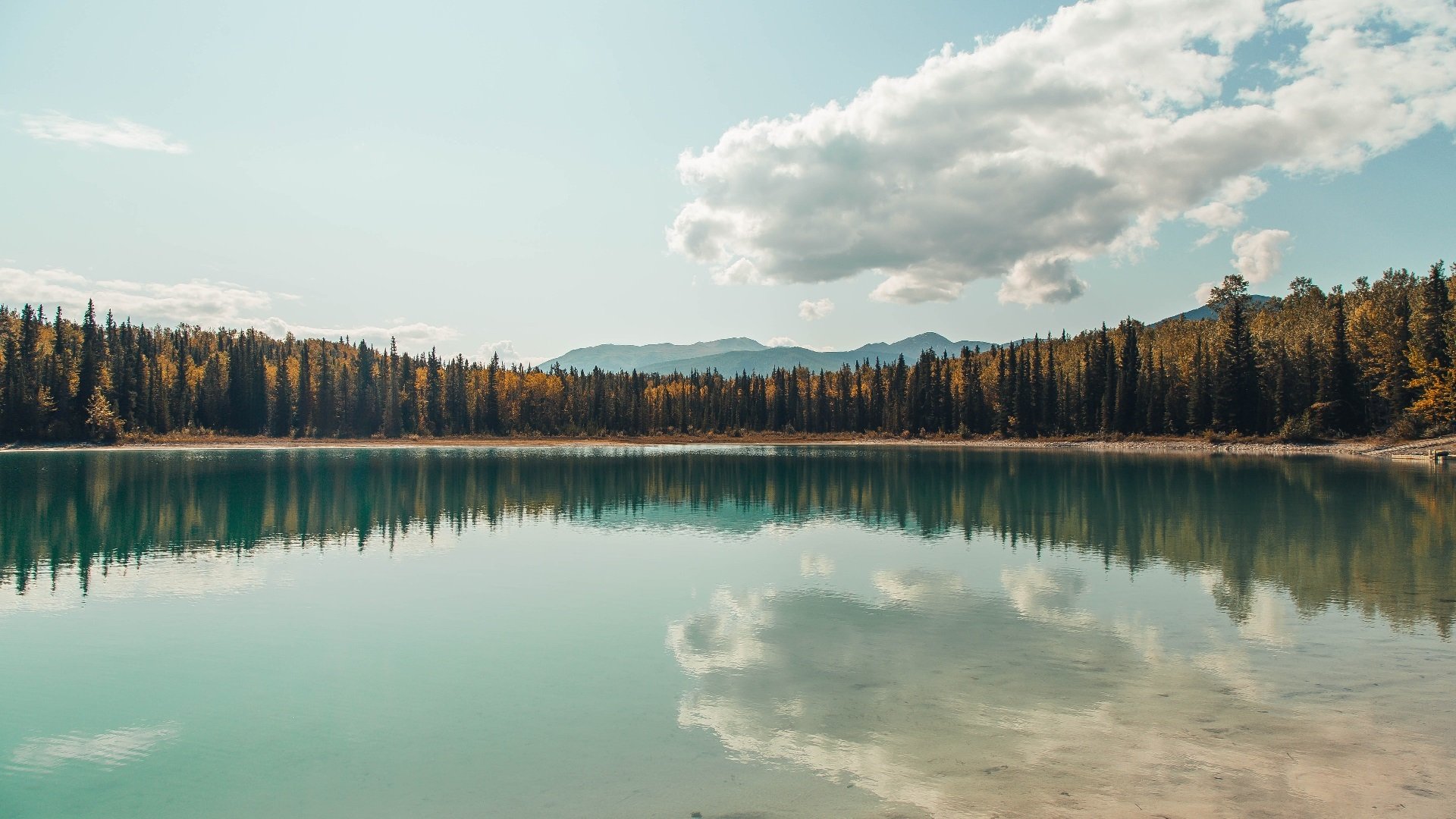 三分之二个地球，穆雷在两周内横扫澳网与总决赛的非凡征程