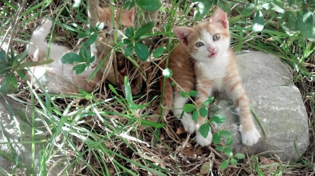 59分57秒的等待，那一记转身，静默的网缚住了奔涌的江