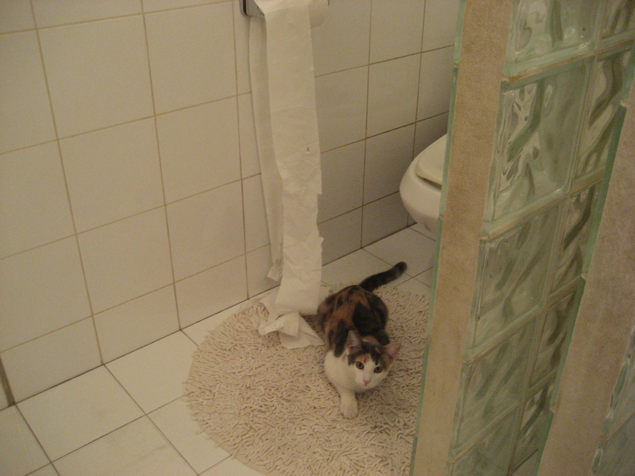 当马刺遇见紫禁城，杜兰特以关键先生之姿，完成一场跨越篮球文化的轻取