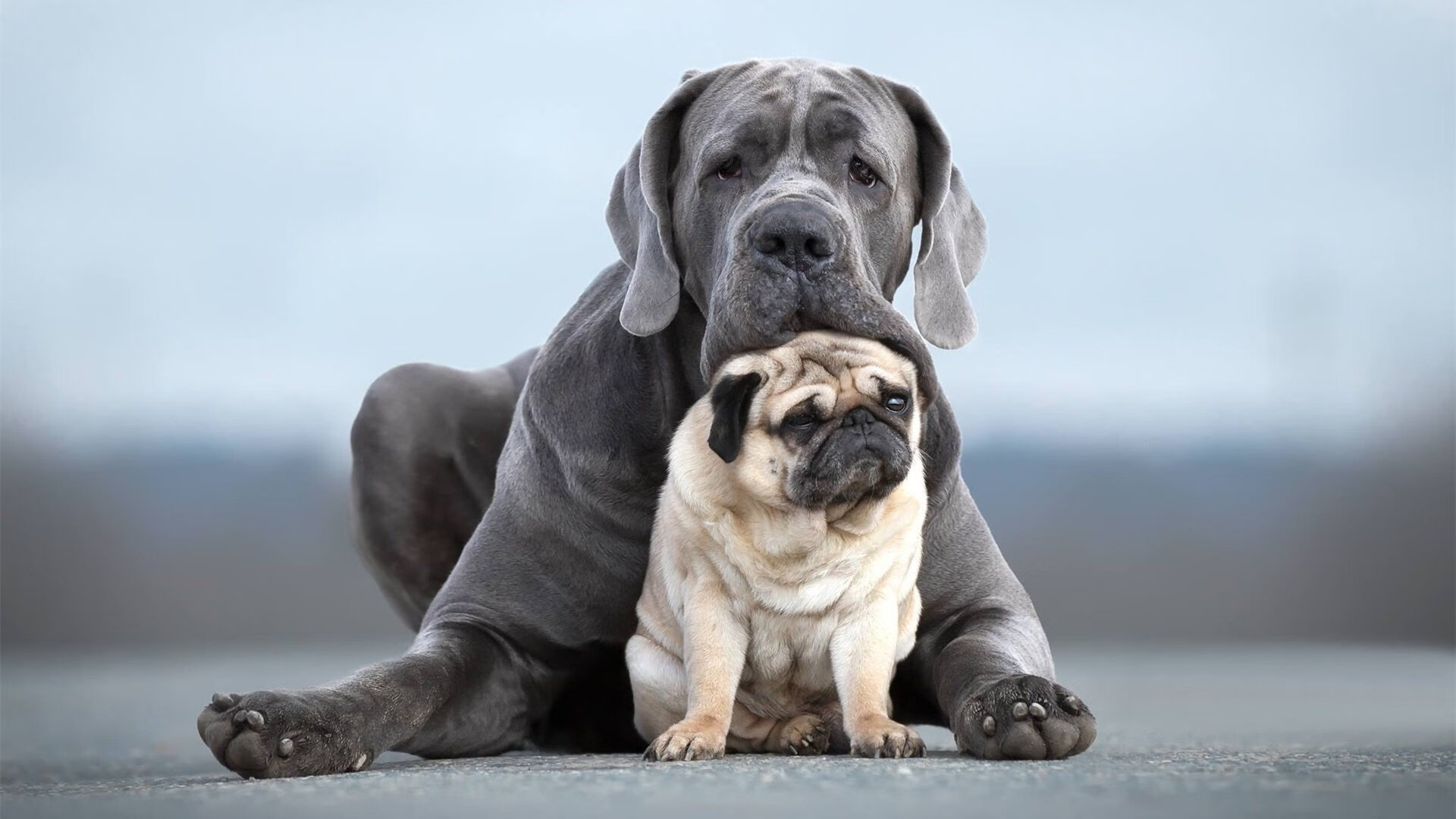当古希腊战歌遇见北欧神话，哈兰德化身关键先生助希腊逆转突尼斯