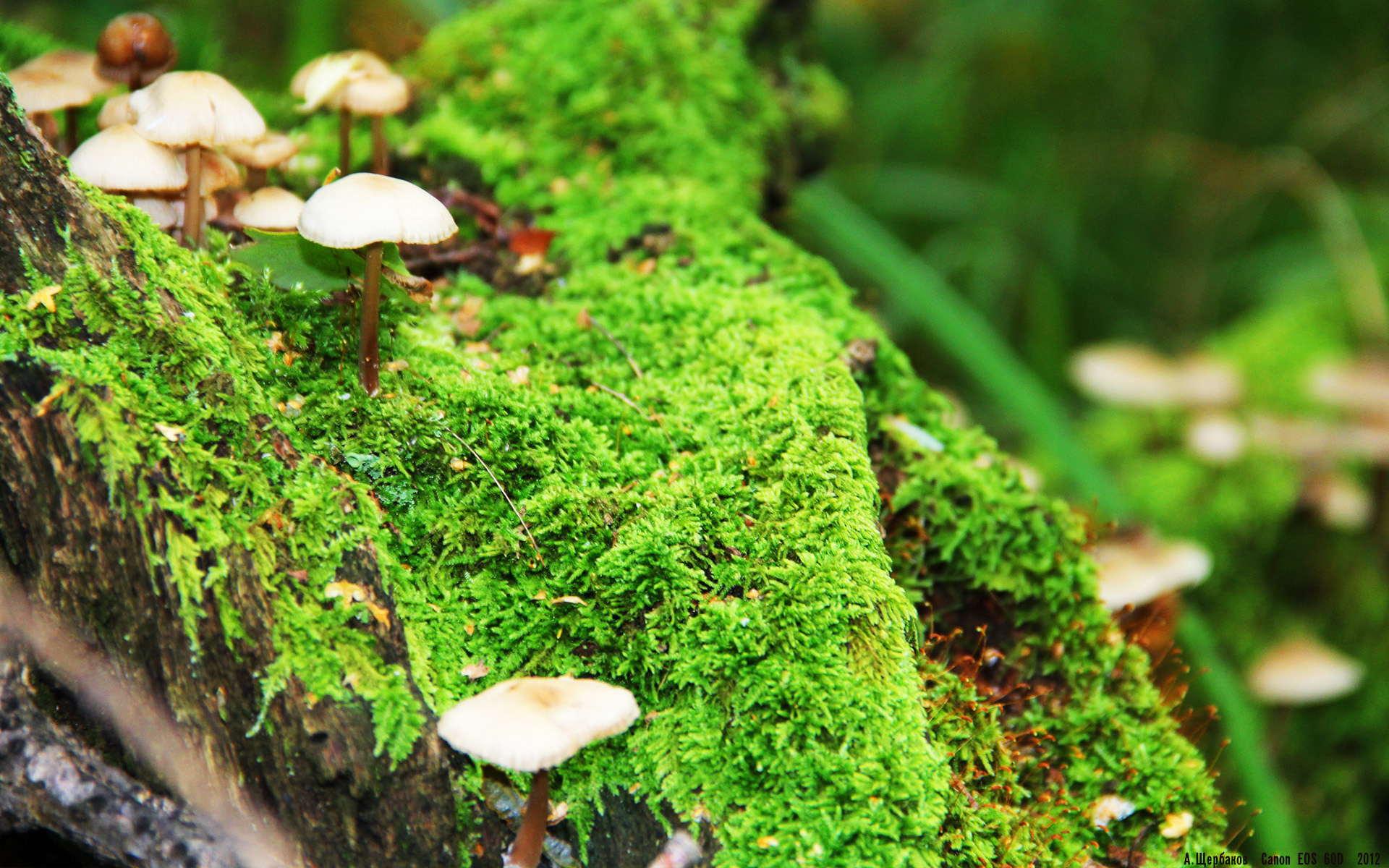 数据核爆！凯恩在哥伦比亚与亚特兰大的对决中写下史诗级表现