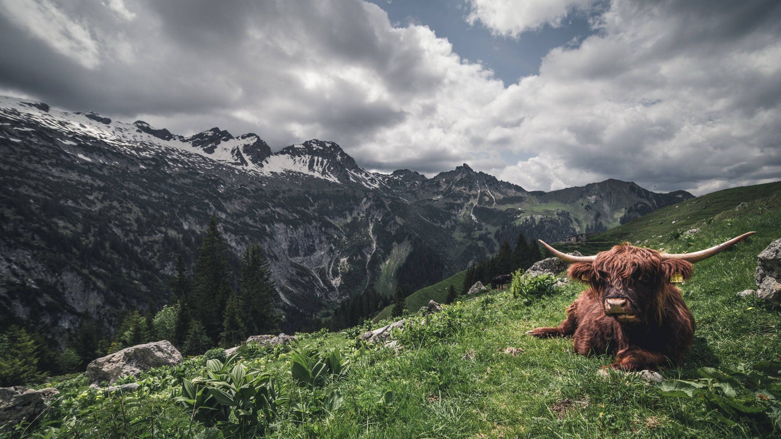 戈贝尔生涯之夜封神，掘金血拼76人加时险胜