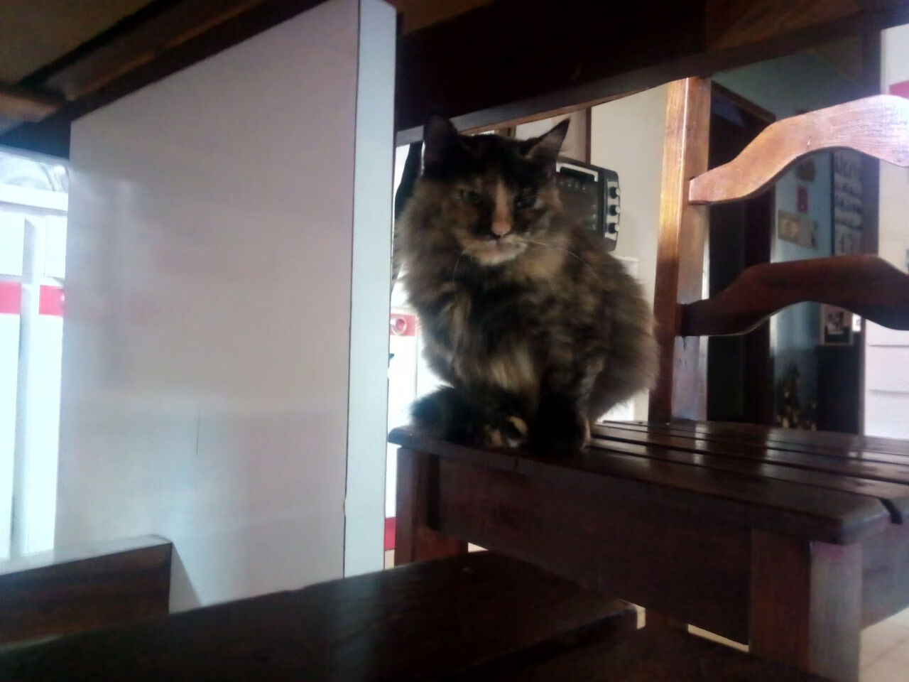 拉文关键先生显威,广东队正面击溃深圳队,豪取胜利!