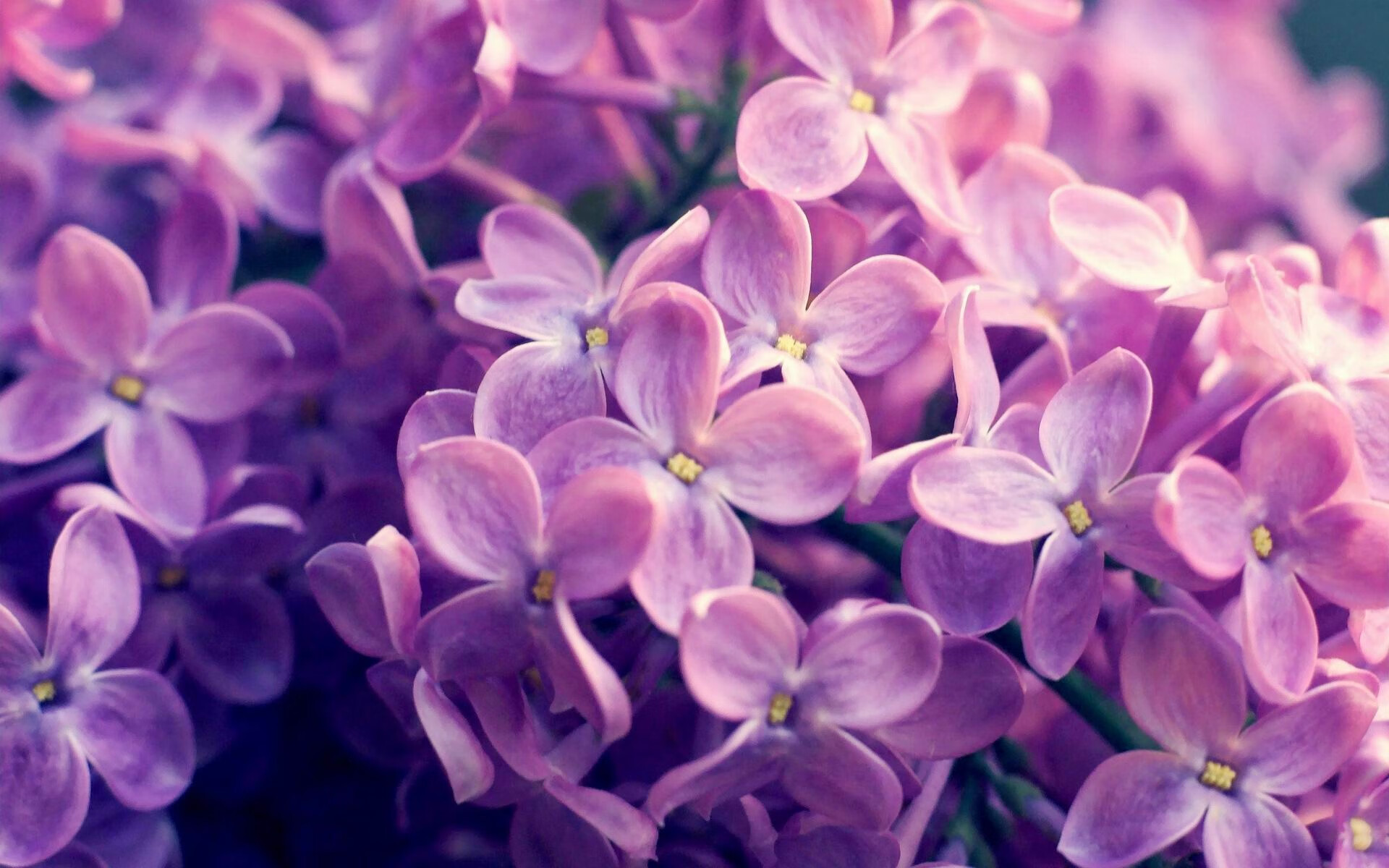 爱游戏入口-欧冠半决赛之夜，当卡马文加将球场切割成碎片