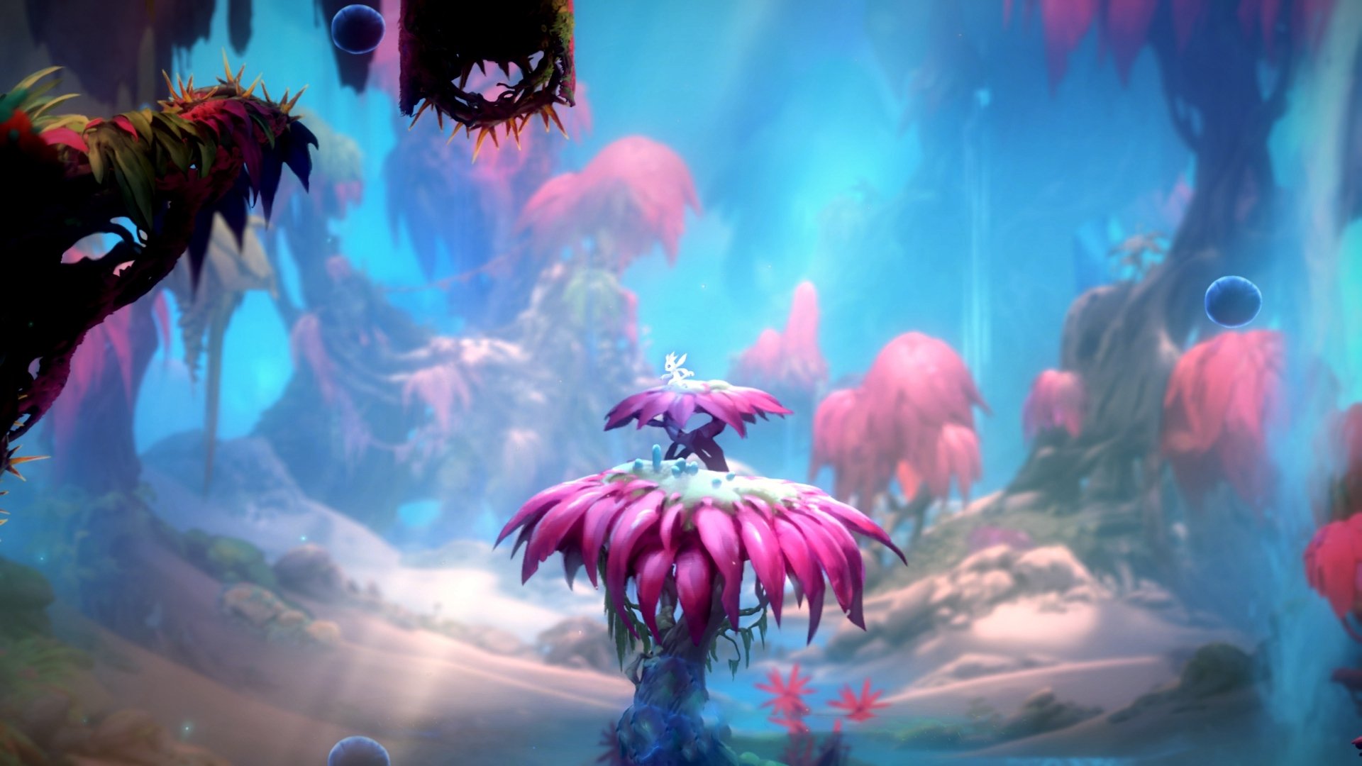 爱游戏2026-维尼修斯一剑封喉！安哥拉爆冷力克爱尔兰，历史性一刻定格绿茵场