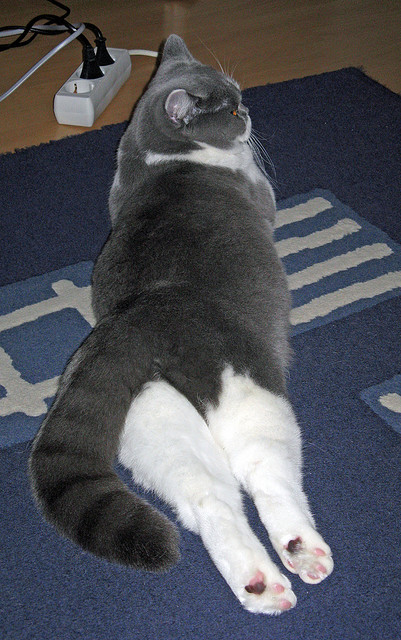 从盾坚到矛折，一场教科书式的完胜，看莱万如何将乌拉圭引以为傲的防线肢解