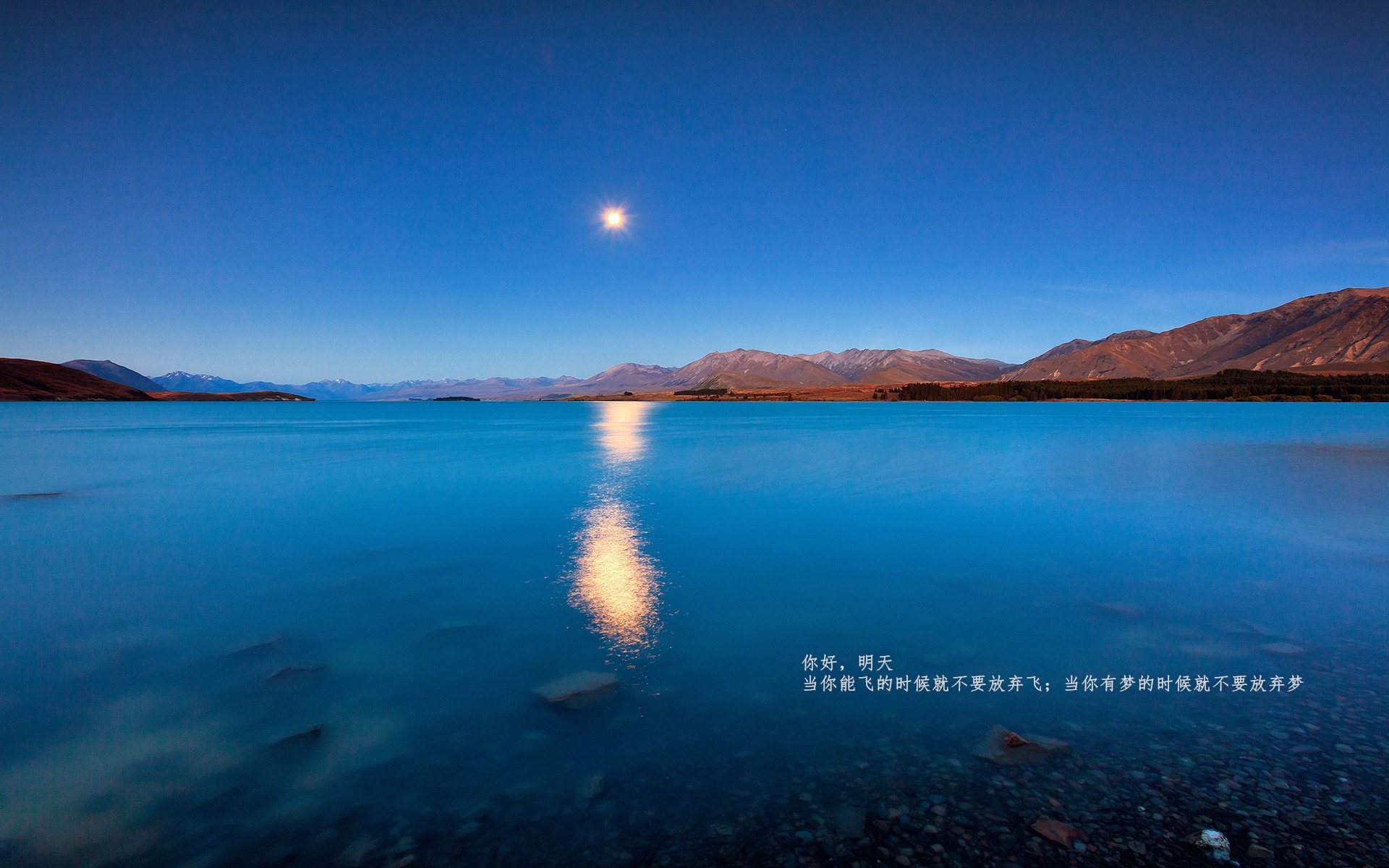 菱形切割,当芬兰铁骑踏碎南美防线,库尔图瓦的时空扑救