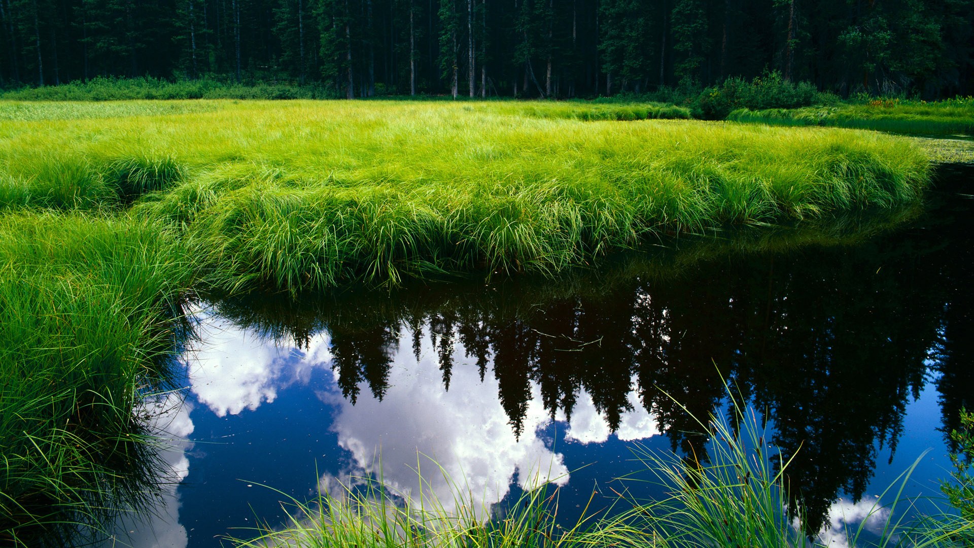 欧冠淘汰赛之夜,阿劳霍,那把名叫冷静的钥匙