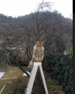 关键先生巴雷拉闪耀,莱比锡红牛力克马德里竞技