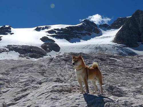 爱游戏官方入口-布伦森慢下来，尼克斯快起来，一场被个人节奏定义的硬仗