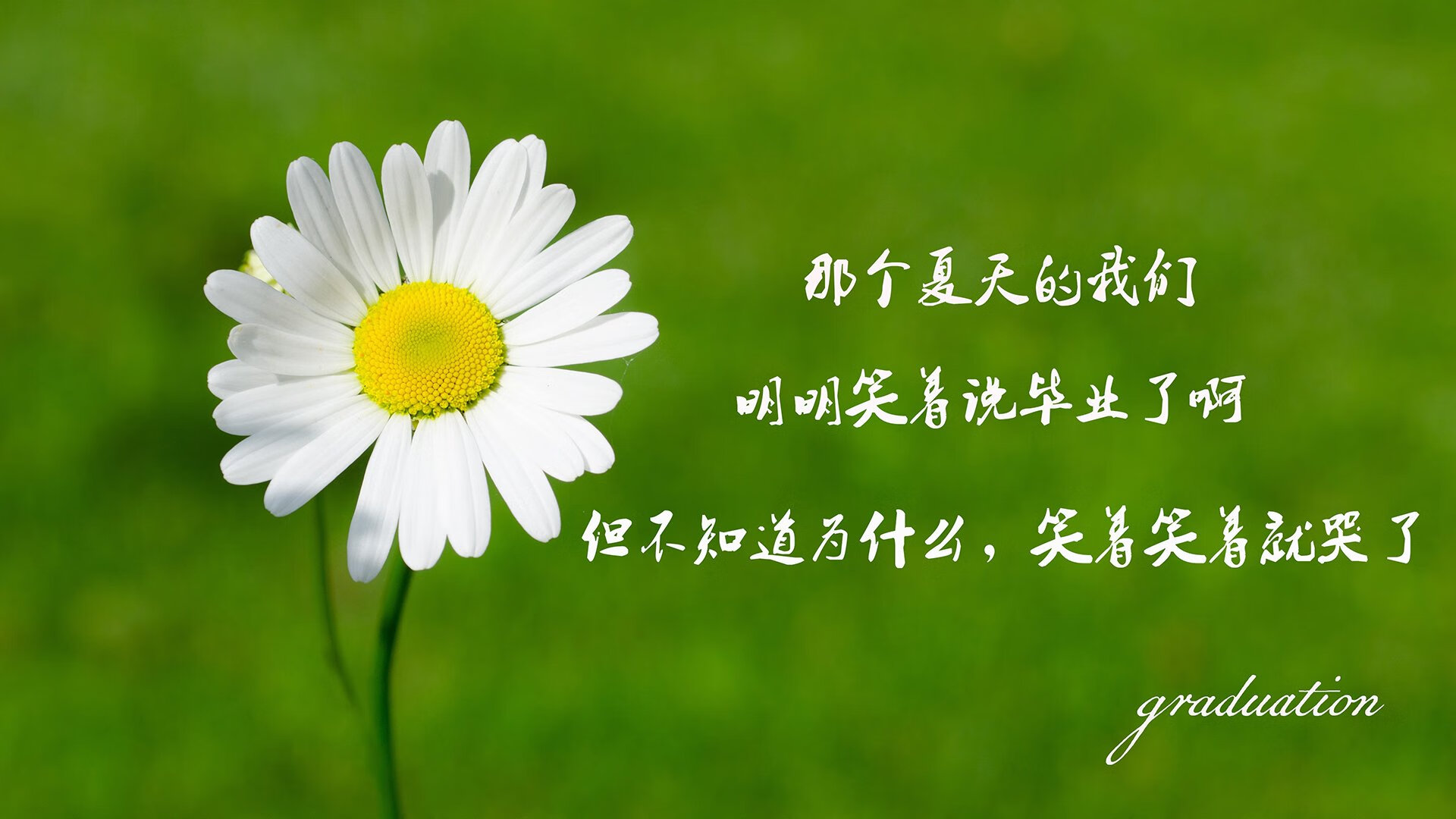 逆转的独白，当哈基米的脚步在2026世界杯上改写C组命运