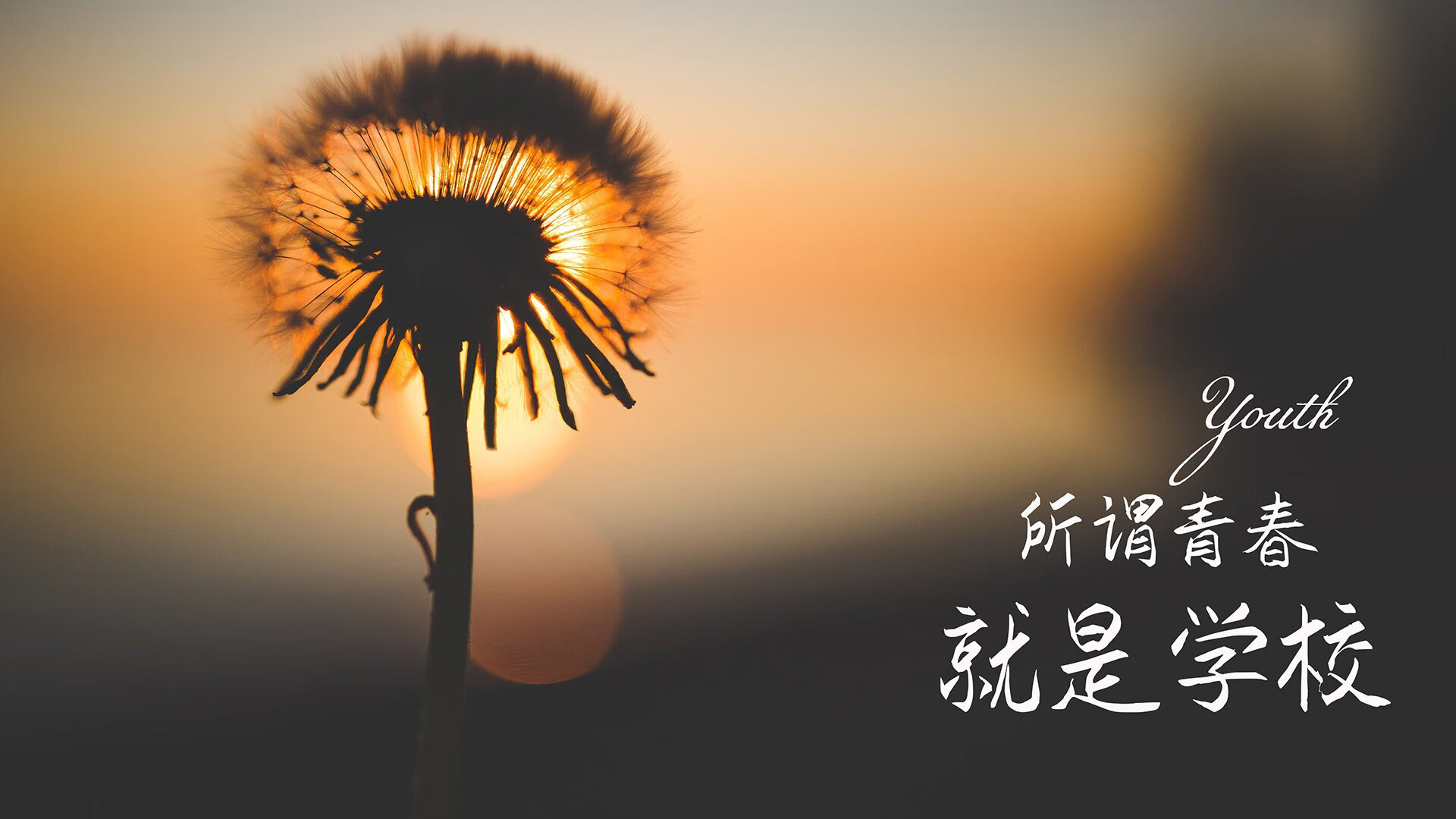 铁幕下的闪电，比利时唯一的不完美答案，卢卡库与防守反击在2026世界杯F组撕裂泰国