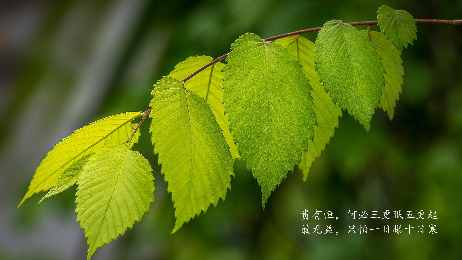 爱游戏官方入口-意志碾压热带风暴，吉鲁铁骑踏碎泰国防线，德国战车向世界杯王座轰鸣前行